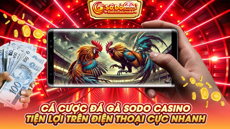 Cá cược đá gà SODO Casino tiện lợi trên điện thoại cực nhanh