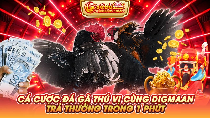 Cá cược đá gà thú vị cùng Digmaan trả thưởng trong 1 phút