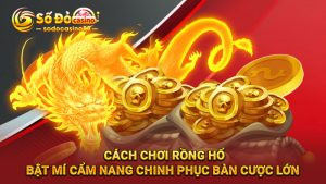 Cách chơi rồng hổ SODO Casino