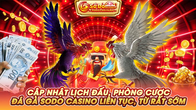 Cập nhật lịch đấu, phòng cược đá gà SODO Casino liên tục, từ rất sớ