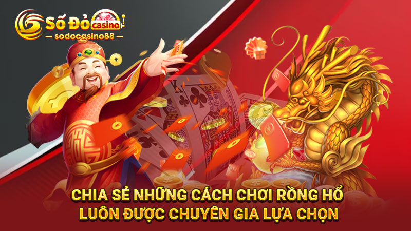 Chia sẻ những cách chơi rồng hổ luôn được chuyên gia lựa chọn