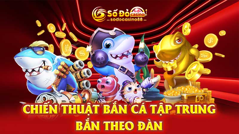 Chiến thuật bắn cá tập trung bắn theo đàn