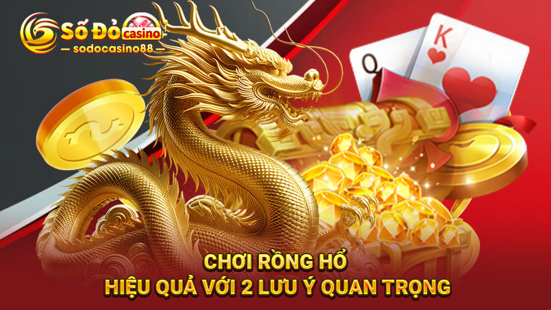 Chơi rồng hổ hiệu quả với 2 lưu ý quan trọng