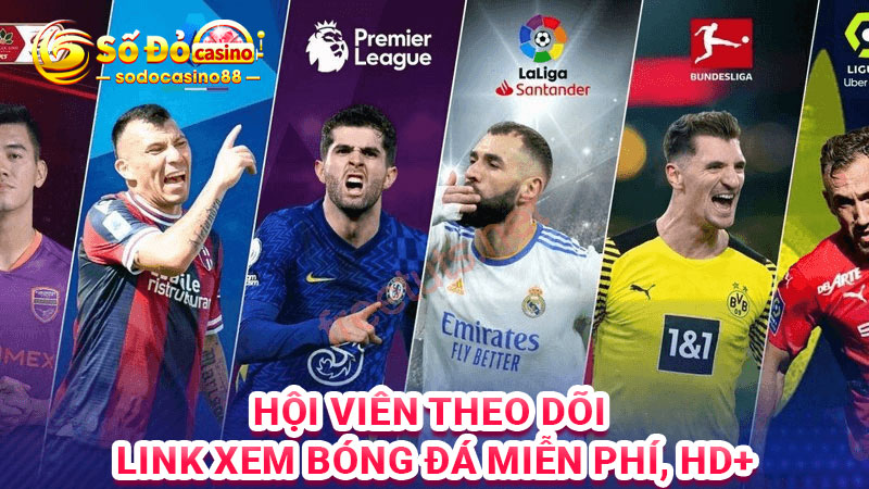 Hội viên theo dõi link xem bóng đá miễn phí, HD+