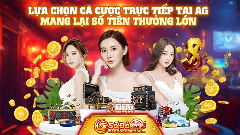 Lựa chọn cá cược trực tiếp tại AG mang lại số tiền thưởng lớn