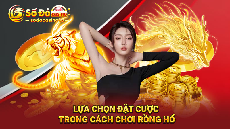 Lựa chọn đặt cược trong cách chơi rồng hổ