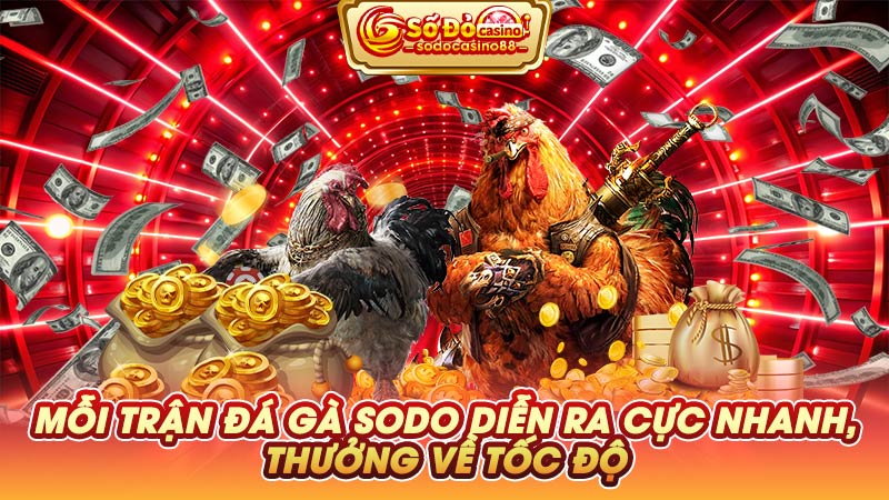 Mỗi trận đá gà SODO Casino diễn ra cực nhanh, thưởng về tốc độ 