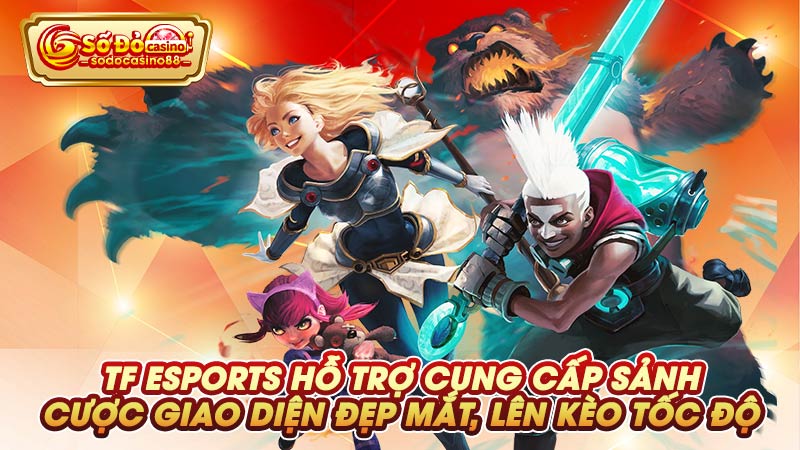 TF Esports hỗ trợ cung cấp sảnh cược giao diện đẹp mắt, lên kèo tốc độ 