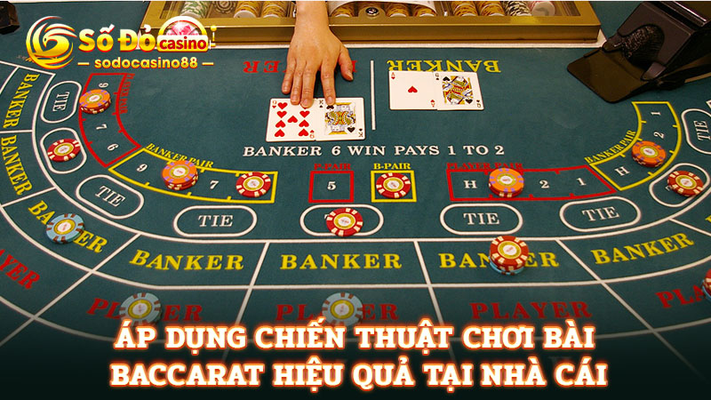 Áp dụng chiến thuật chơi bài baccarat hiệu quả tại nhà cái