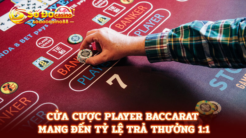 Cửa cược Player baccarat mang đến tỷ lệ trả thưởng 1:1